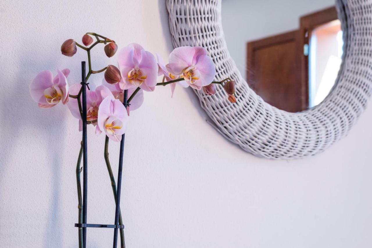 Romantic & Charming Apartment Скарлино Экстерьер фото
